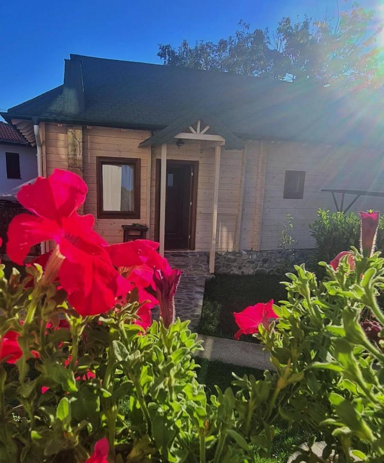 Rooms And Apartmants Mirovic Kolašin Zewnętrze zdjęcie